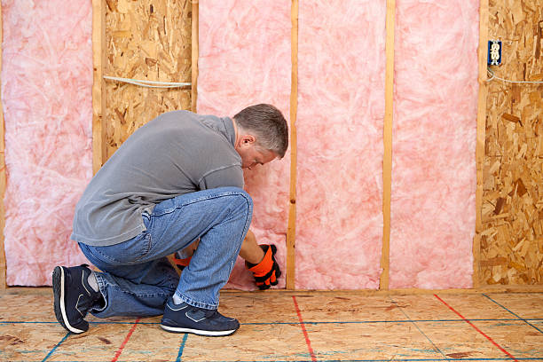 Best Insulation Air Sealing  in Fairmont City, IL